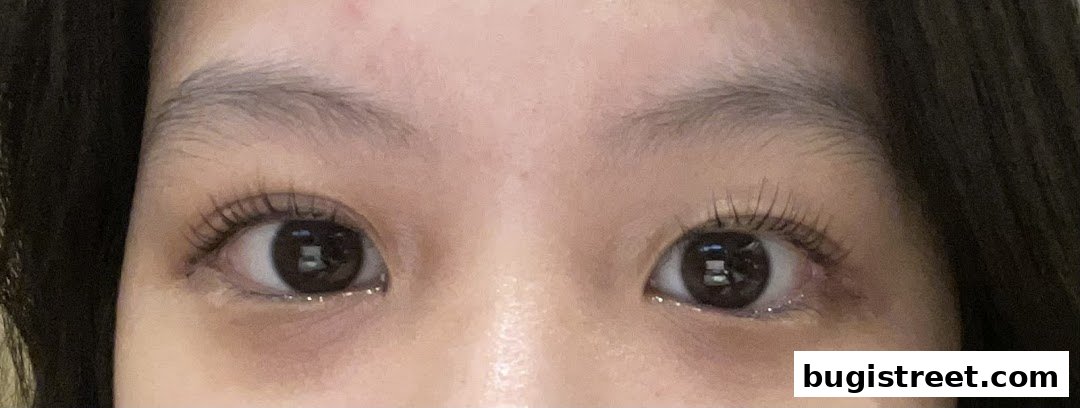 Close-up of a person's eyes with long, voluminous eyelashes.