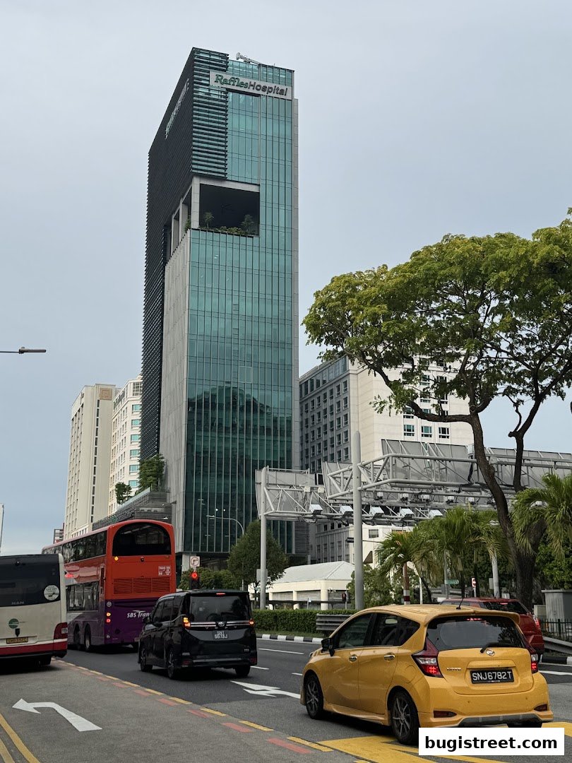 A street view with Raffles Hospital building and traffic on a cloudy day.