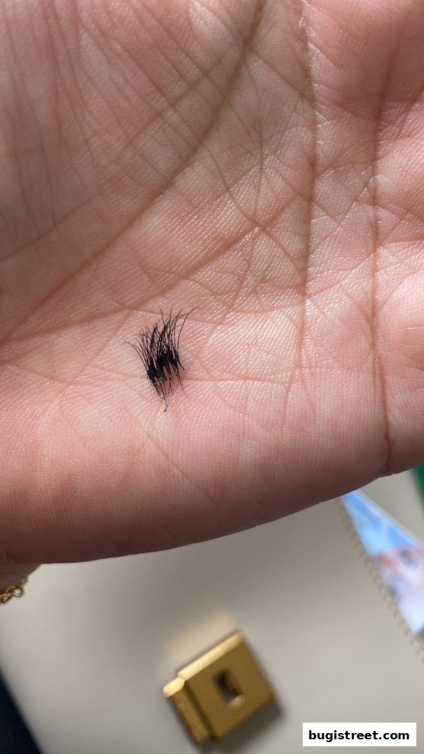 A close-up of a hand holding a cluster of false eyelashes.