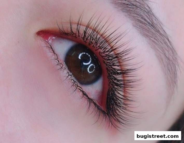 A close-up of a woman's eye with beautifully applied, voluminous false eyelashes.