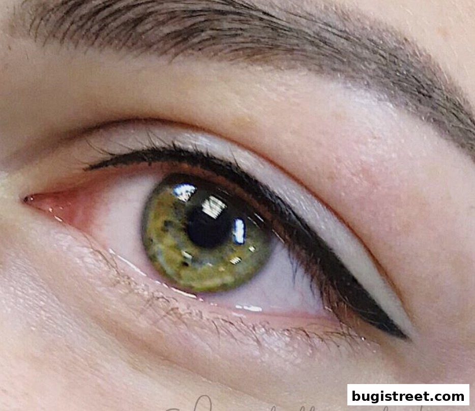 Close-up of a woman's eye with perfect winged eyeliner and well-groomed eyebrows.
