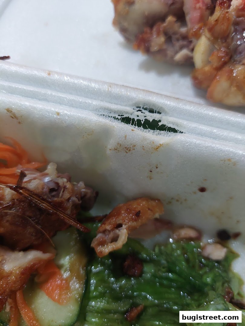 Close-up of a dish with roasted meat, vegetables, and shredded carrots in a white container.